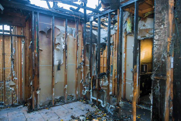 Professional Fire Damage Repair technician working in Lakeview, WA